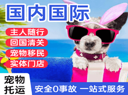 凤凰机场邮寄国际宠物托运 【国